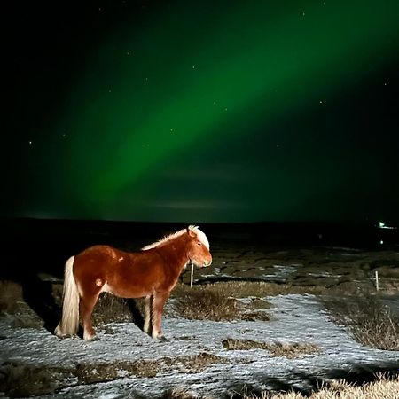 Guesthouse Didi Flagbjarnarholt Экстерьер фото